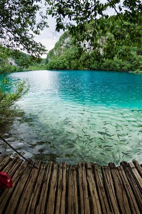 Turquoise Plitvice Lake Croatia Places To Visit Beautiful Places