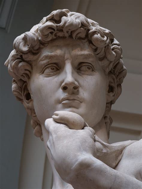 Michelangelo David Face Decor