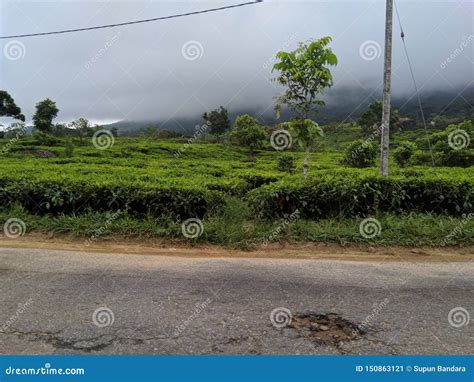 Natural Beauty Of Sri Lanka Stock Image Image Of Landscape Photosn