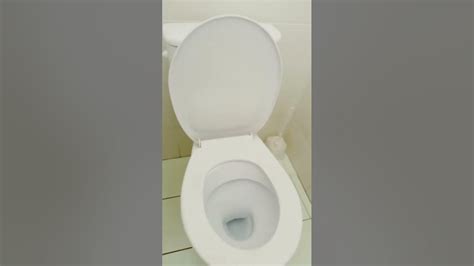 Skibidob Toilet Youtube