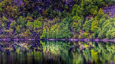 Download Wallpaper 1366x768 Trees Lake Reflection Forest Tablet