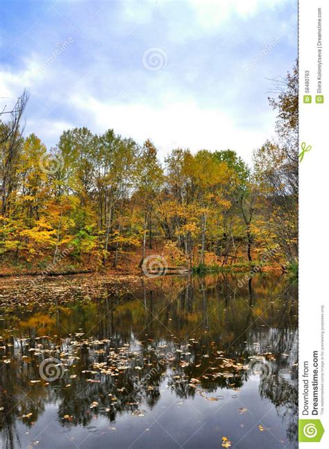 Picturesque Autumn Landscape Of Steady River And Bright Trees Stock