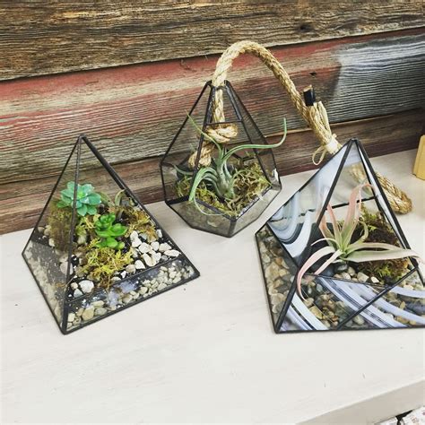 Handcrafted Glass Terrariums Handcrafted Glass Glass Terrarium Terrarium