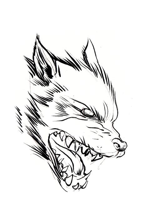 Mean Wolf Drawing Free Download On Clipartmag