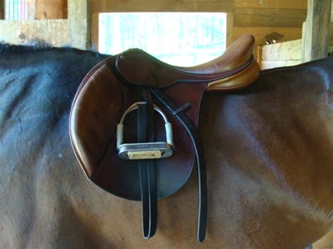 How Often Do You Have Your Saddle Fitted To Your Horse Equine Ink