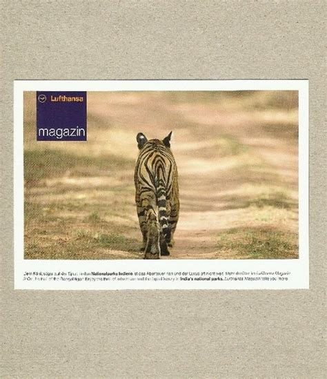 Lufthansa Airline Magazin Tiger Advertising Postcard