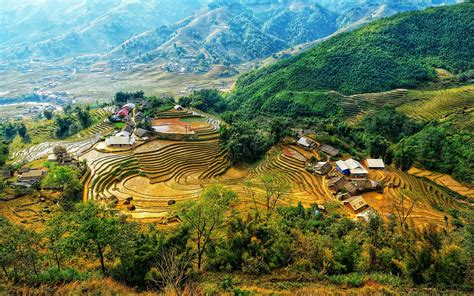 Vietnam Jungle Village Terraced Fields Landscape Preview