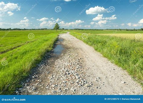 Gravel Road With Puddles Through Green Meadows Stock Image Image Of