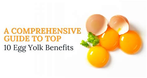 A Comprehensive Guide To Top 10 Egg Yolk Benefits Ingredient Fact