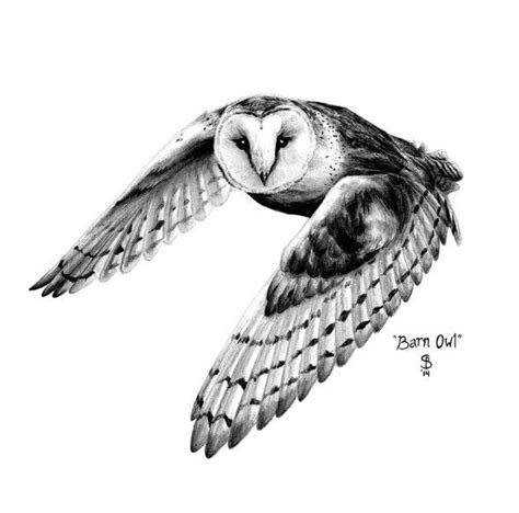 Barn Owl Owl Tattoo Design Owls Drawing Barn Owl Drawing