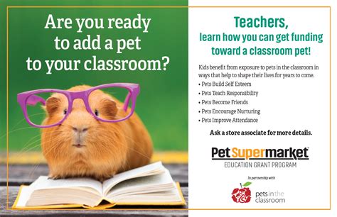 Attention Teachers Are You Ready To Add A Pet To Your Classroom Stop
