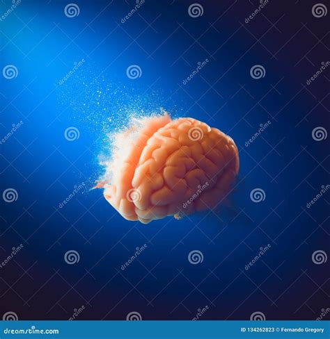 Exploding Brain Creativity Concept Stock Image Image Of Background