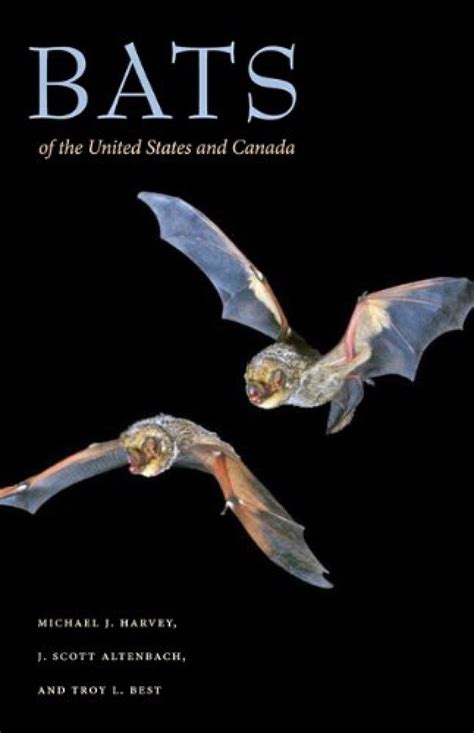 Bats Of The United States And Canada Nhbs Field Guides And Natural History