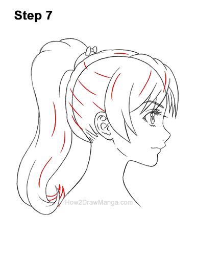 How To Draw A Manga Girl With A Ponytail Side View Step By Step