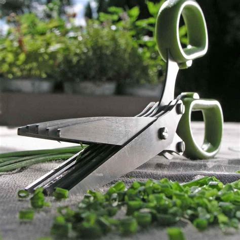 Buy Herb Scissors — The Worm That Turned Revitalising Your Outdoor Space
