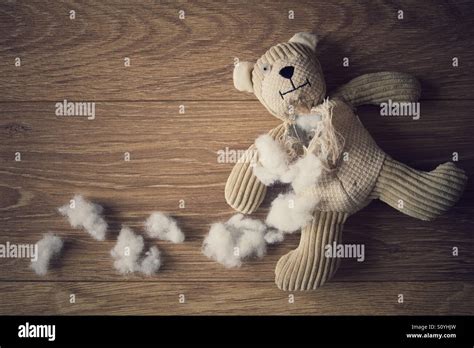 Destroyed Teddy Bear