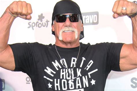 Hulk Hogans Sex Tape Schadenersatz Steigt Auf 140 Millionen