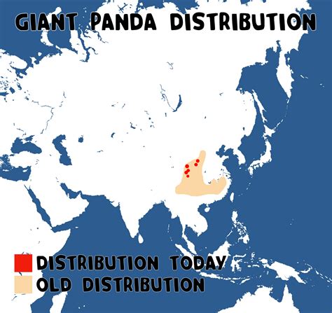 Giant Panda Untamed Science