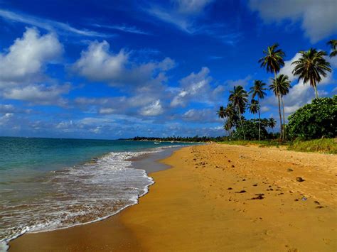 The 15 Best Beaches In Bahia