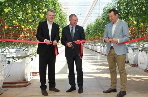 Sundrop Farms Opens Mega Glasshouse In Sa Farm Online Farmonline