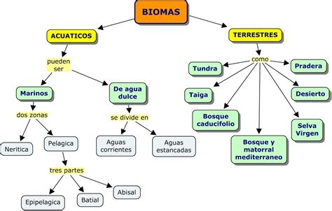 BIOLOGÍA Y MEDIO AMBIENTE Tipos de Biomas