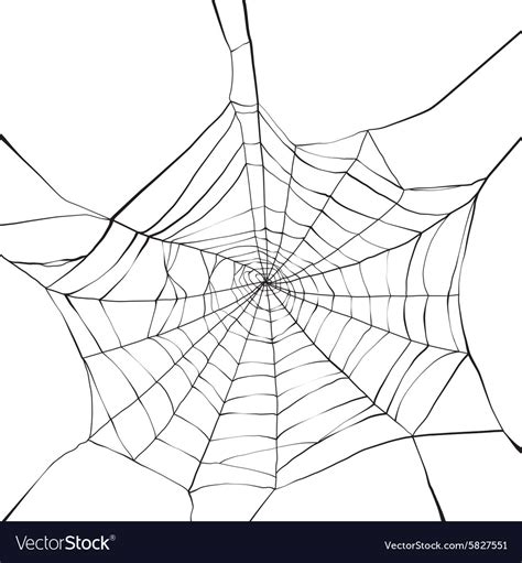 Spider Web Royalty Free Vector Image Vectorstock
