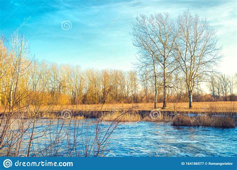 Rural River Stock Image Image Of Beautiful Autumn 164186577