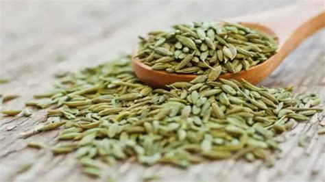 Incredible Health Benefits Of Fennel Seeds Newsnownation