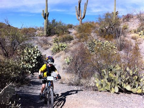 Saguaro National Park Pedal Adventures