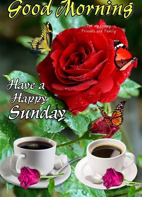 Get good morning sunday images these articles contain sunday morning images wallpaper have an amazing sunday morning wish you a very happy here you can find beautiful images, pictures, and photo to wish a good morning sunday. Sunday Morning Image Pictures, Photos, and Images for ...