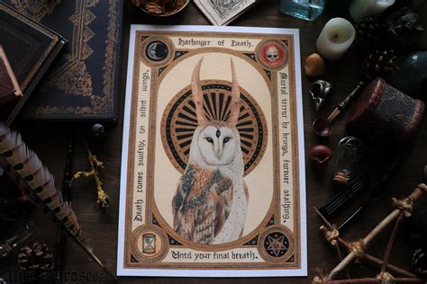 Barn Owl Harbinger Of Death A4 Fine Art Print Arcanus Etsy