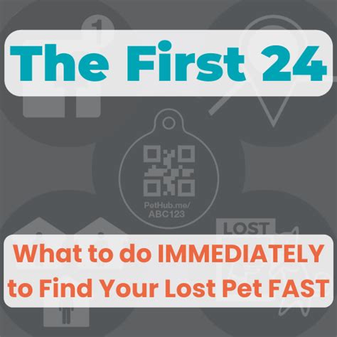 First 24 Hours What To Do To Find Your Lost Dog Fast Pethub