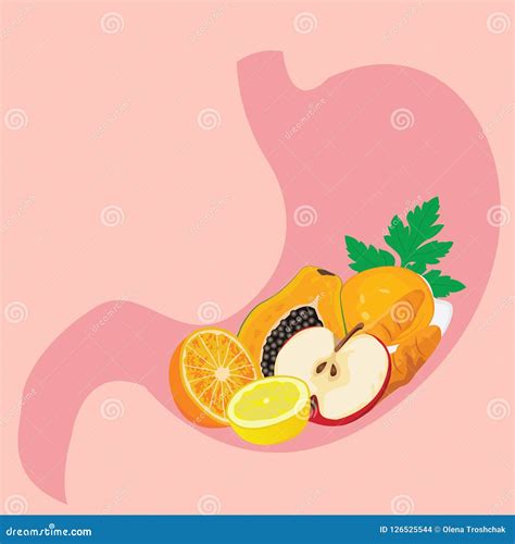 Shape Of Stomach Full Of Healthy Meel Healthy Digestion Concept Stock