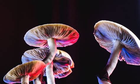 Psychedelic Therapy Is Now Legal — But It Wont Be Easy To Get