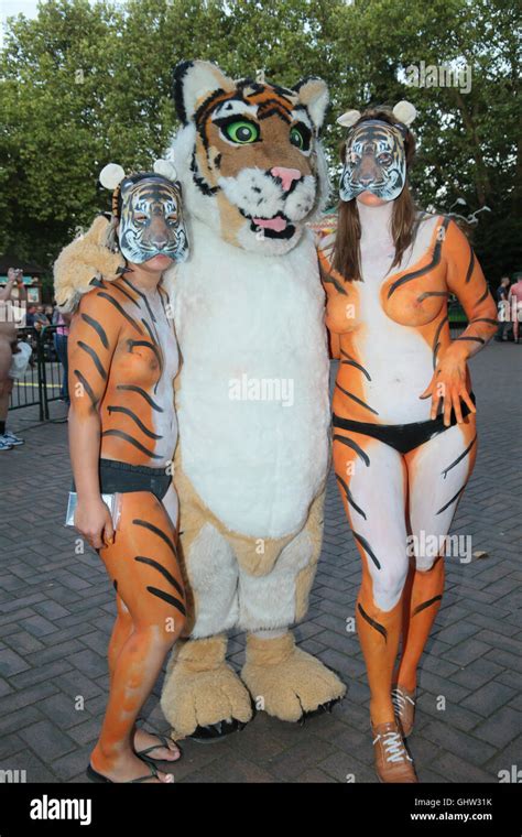 Streak For Tigers Hi Res Stock Photography And Images Alamy