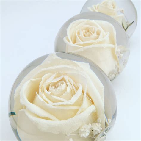 A Set Of Our Gorgeous 3 Single Flower Paperweights Created For A Bride