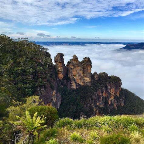 Blue Mountains Private Tours Local Guides Awarded Service Your
