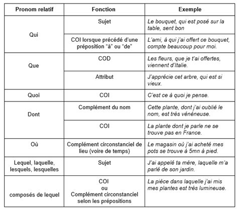 fiche propositions subordonnées relatives en français au bac