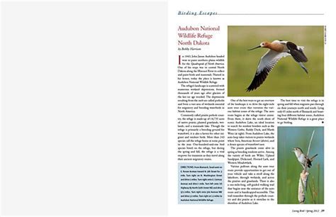 Birding Escapes Audubon National Wildlife Refuge North Dakota All