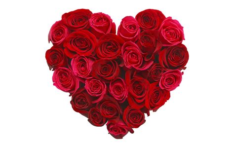 73 Red Rose Heart Wallpaper On Wallpapersafari