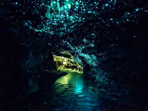 Waitomo Caves Series 10 Natural Wonders Of The World