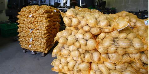 Potato Packer In Canada Gets Usd1m Loan From The Government Potato