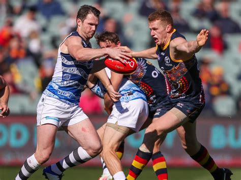 Surfcoast victoria, @geelongcats player, @aflplayers president. AFL 2020: Staging a 'storm in a tea cup', says Patrick ...