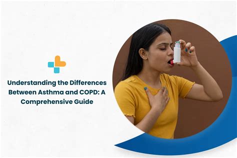Understanding The Differences Between Asthma And Copd A Comprehensive Guide