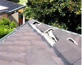 Images of Gutter Cleaning And Roof Repair