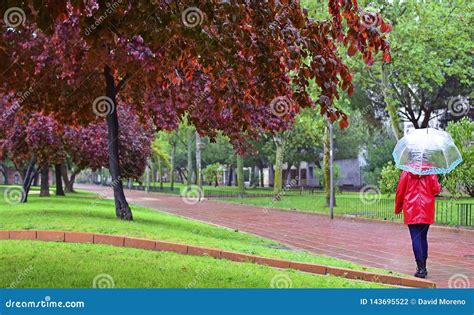 A Young Girl Walks Alone On A Rainy Day Through A Park Under An