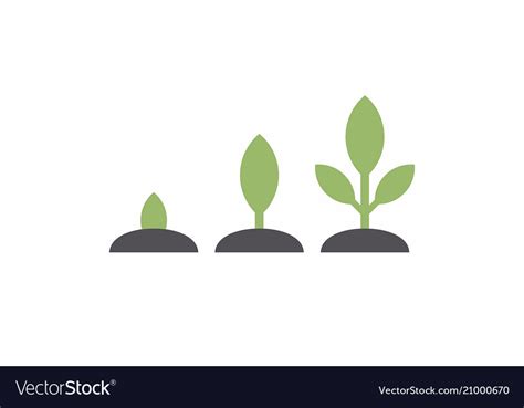 Planting Seed Sprout In Ground Royalty Free Vector Image