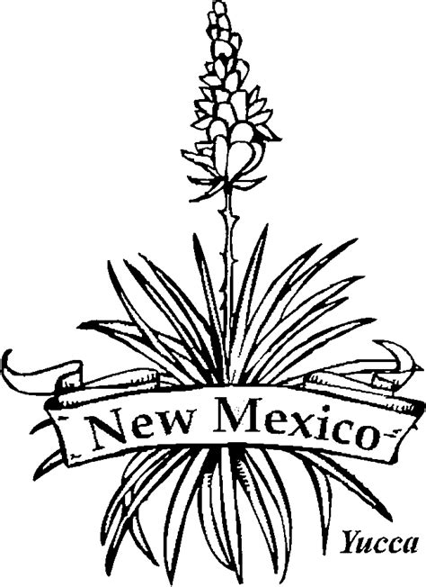 50 State Flowers Coloring Pages For Kids