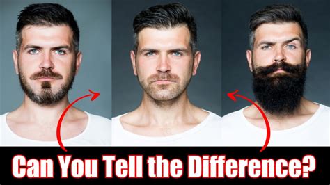 stubble vs beard can you tell the difference beard care youtube