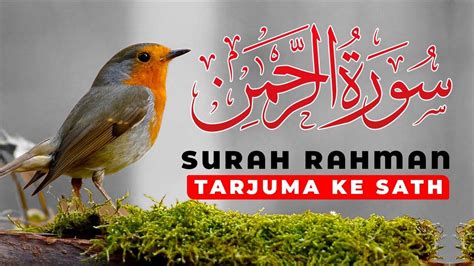 Surah Rahman Tarjuma Ke Sath ️ Qari Al Sheikh Abdul Basit Abdul Samad